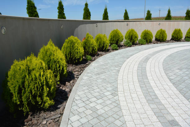 Best Residential Driveway Paver Services  in Charlotte, NC